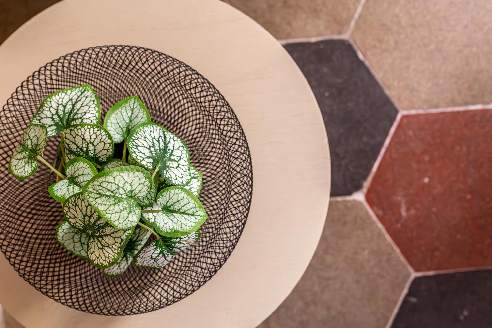 Apartment Iflat New Boutique In Rome's Heart Rome